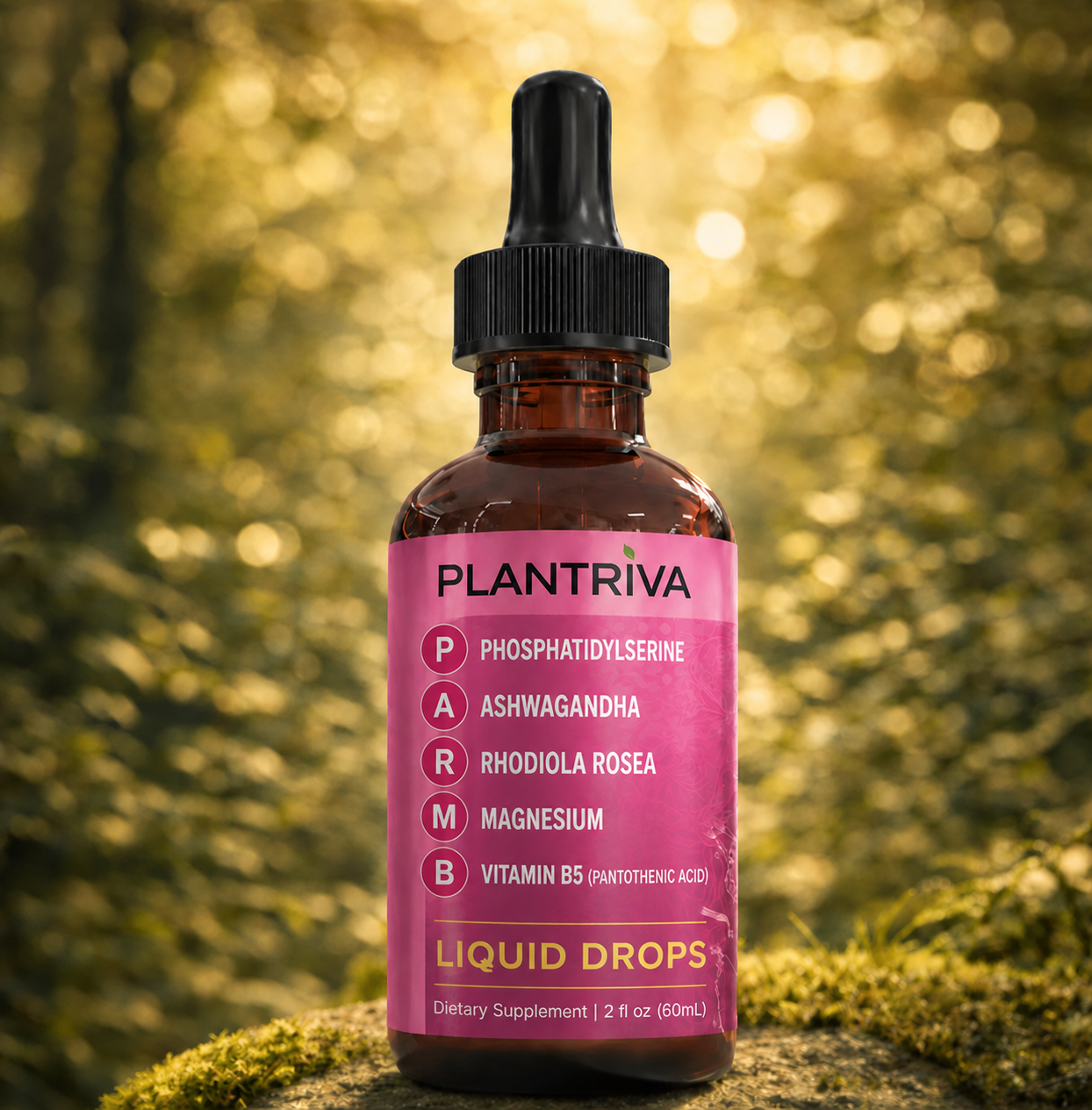 Stress & Cortisol Balance